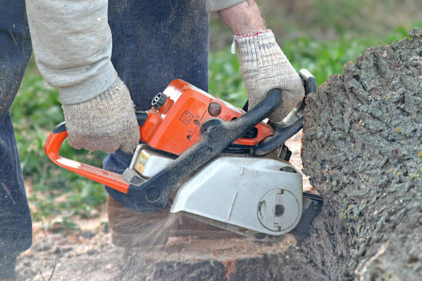 Lawn Grading and Leveling